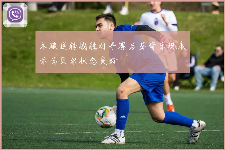 木狼逆转战胜对手赛后芬奇乐观表示戈贝尔状态良好