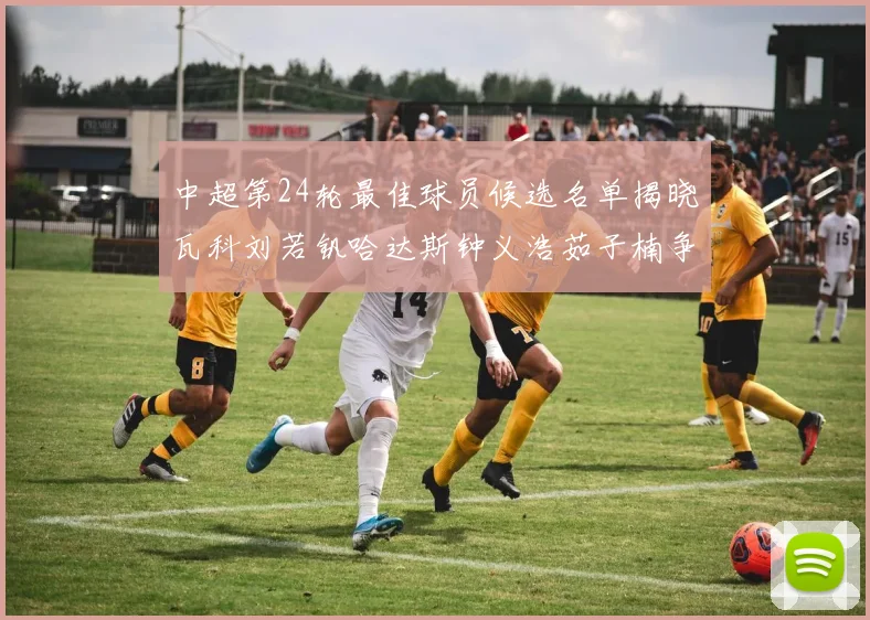 中超第24轮最佳球员候选名单揭晓瓦科刘若钒哈达斯钟义浩茹子楠争夺荣誉