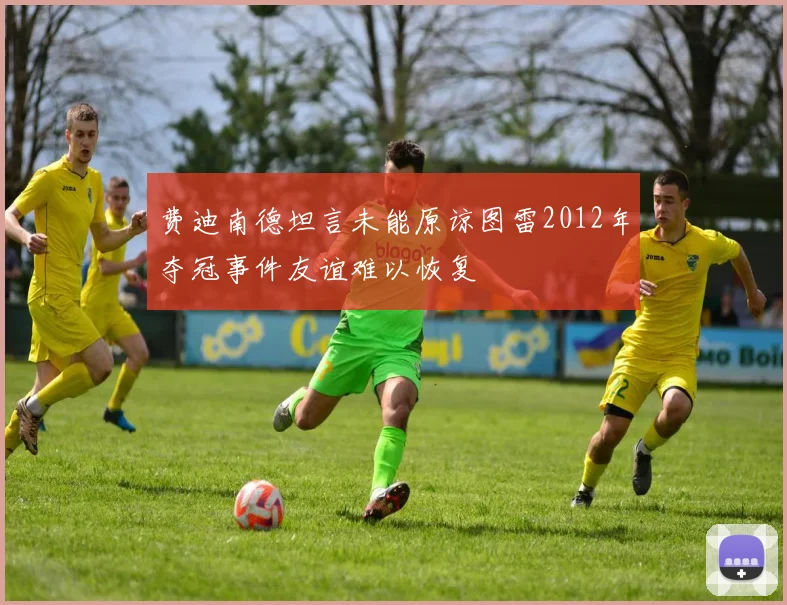 费迪南德坦言未能原谅图雷2012年夺冠事件友谊难以恢复