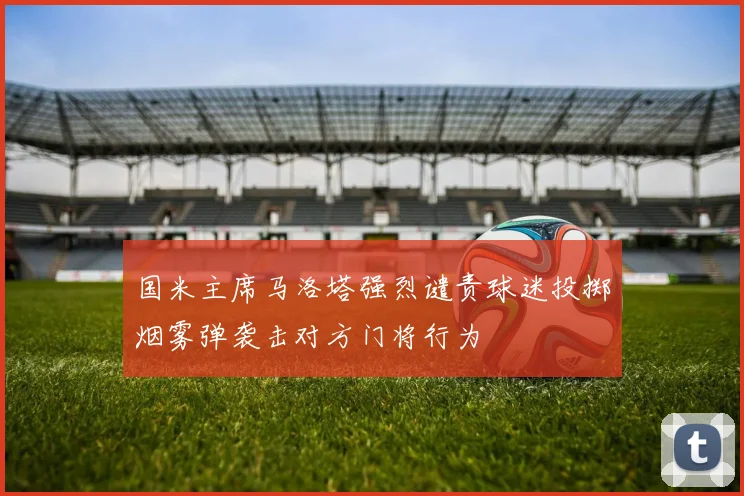 国米主席马洛塔强烈谴责球迷投掷烟雾弹袭击对方门将行为