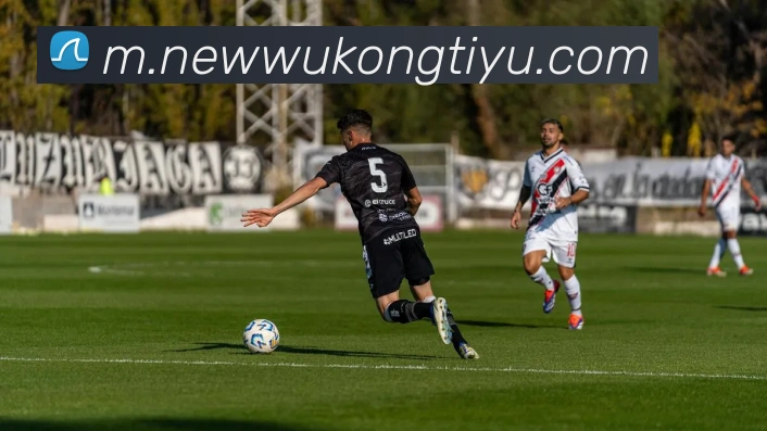 悟空体育平台生态图