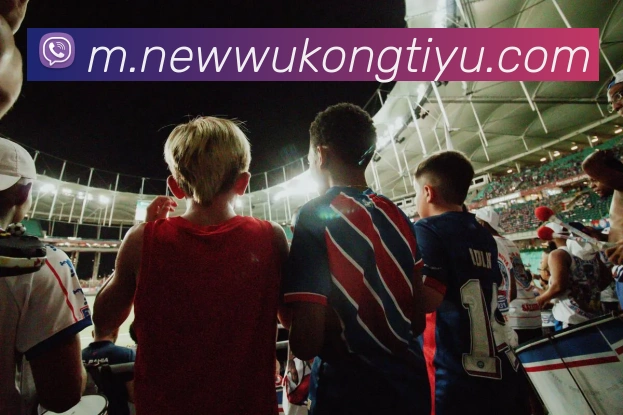 悟空体育APP 封面图